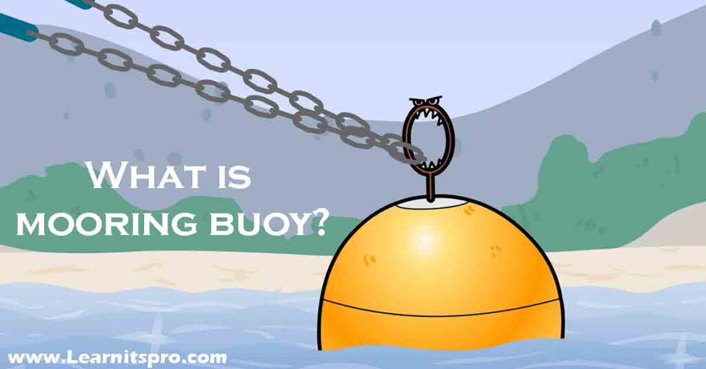 What color appear on a mooring buoy, What colors appear on a mooring buoy 2021, What is mooring buoy, what does a mooring buoy look like,