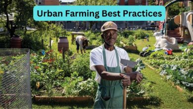 Urban Farming Best Practices