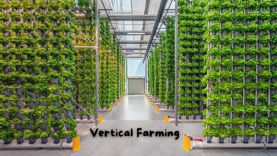 Benefits of Vertical Farming Systems