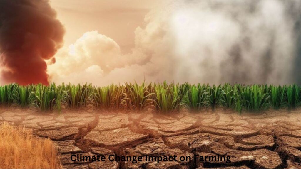 Climate Change Impact on Farming