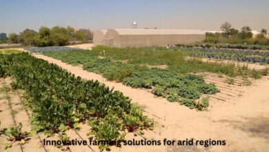 Innovative farming solutions for arid regions