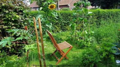 Permaculture farming methods for beginners